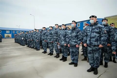 Омон беркут