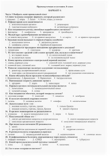 Промежуточная аттестация 8 класс вариант 1