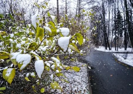 Похолодание в абакане