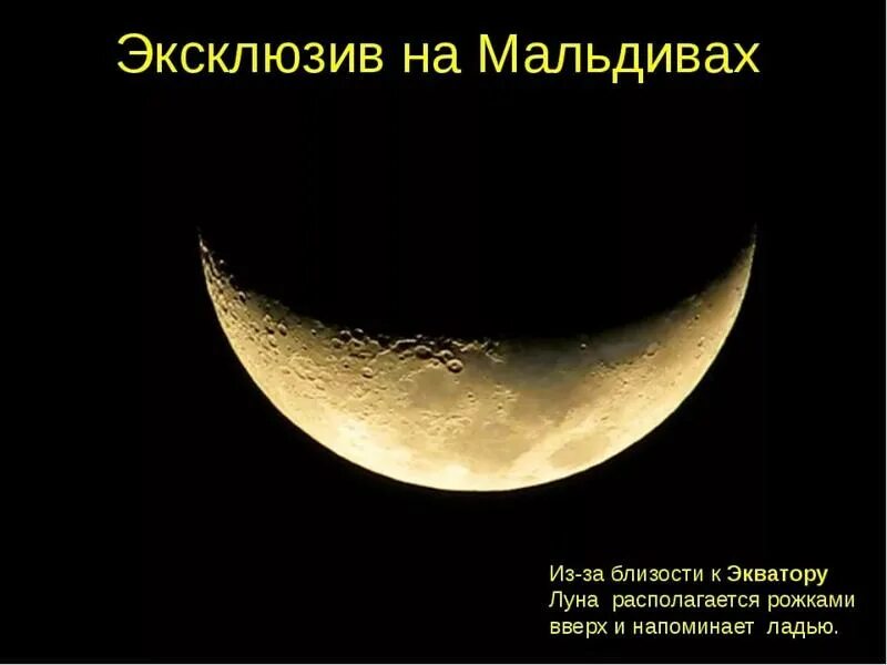 Как выглядит месяц картинки Venus in the Moon Astronomy pictures, Venus, Moon