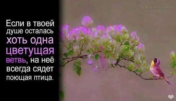 В душе пели птицы. Если в твоей душе осталась хоть одна Цветущая ветвь. Если в твоей душе осталась Цветущая ветвь на нее. Если в душе есть Цветущая ветвь на нее сядет поющая птица. Если в твоей душе осталась хоть одна.