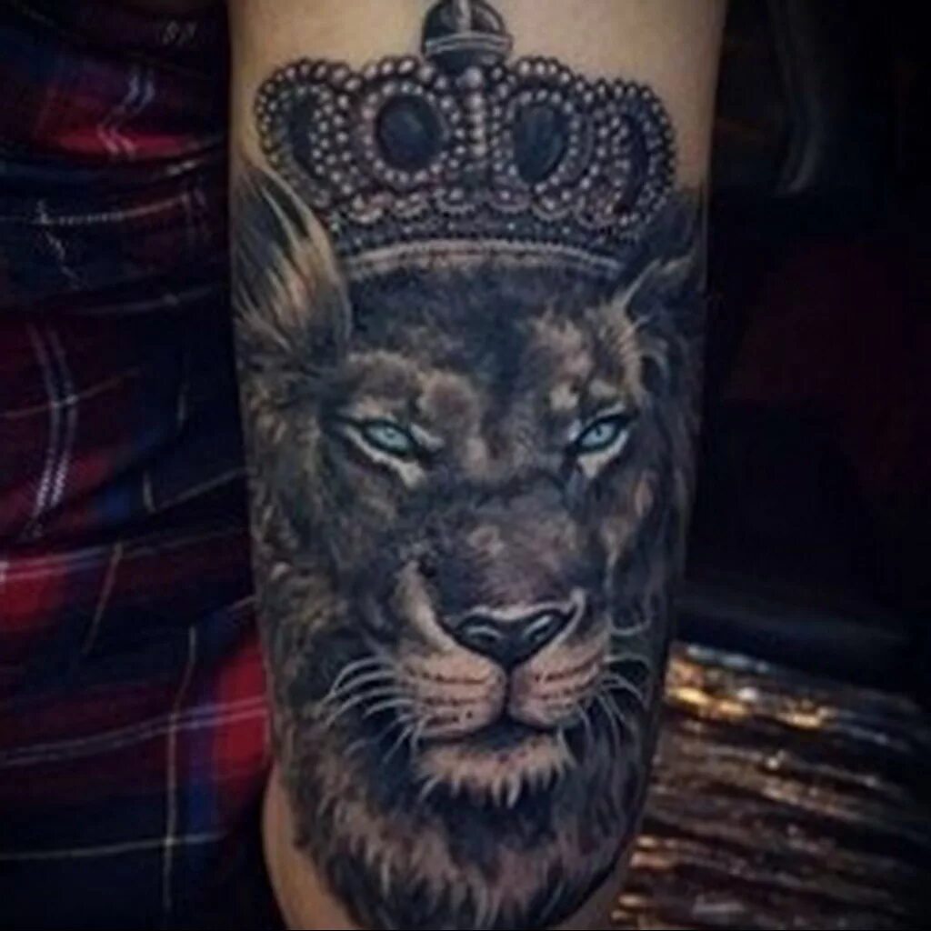 lion tattoo #lion #liontattoo Tatuagem, Tatuagem de leão, Tatuagens de leão