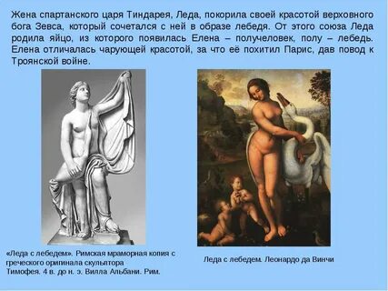 Дочь зевса и леды 5 букв
