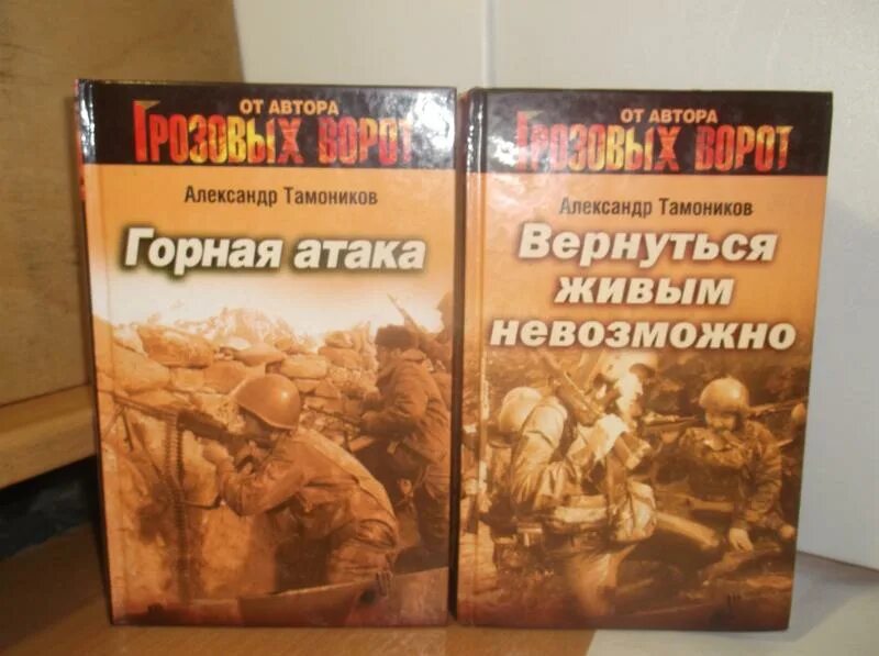 Грозовые ворота александр тамоников книга. Книга тамоников грозовые ворота. Грозовые ворота-2 трилогия аннотация. Александр тамоников грозовые ворота. Тамоников грозовые ворота.