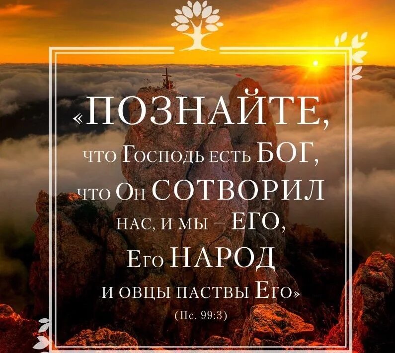 Этот день сотворил господь. Познайте что Господь есть Бог. Господь с Библией. Господь есть Бог Библия.