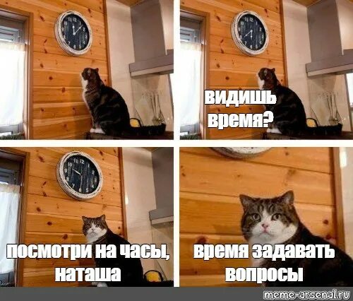 Смотрю на время и вижу. Мем с котом и часами время задавать вопросы. мемы 2005-2025. мем кот, мем с котом и часами пора, кот и часы мем. мем кот часы пора.
