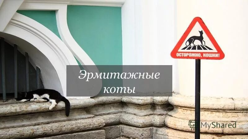 Hermitage cats have been officially kept
