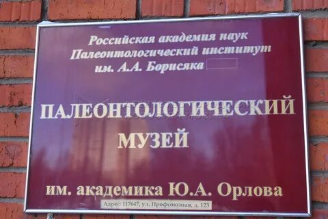 Школа имени орловой