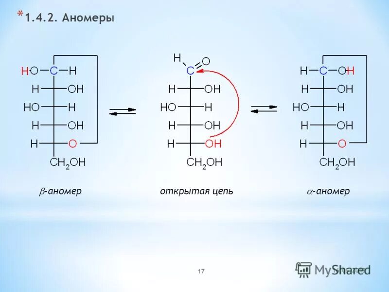 аномеры моносахаридов. кольчато-цепная таутомерия глюкозы. альфа и бета аномеры моносахаридов. аномеры это. аномеры это.