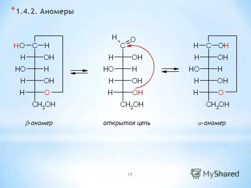 Соединение 2 моносахаридов. Альфа аномер d Глюкозы. Альфа и бета аномеры моносахаридов. Аномерные формы моносахаридов. Галактоза Альфа аномер.