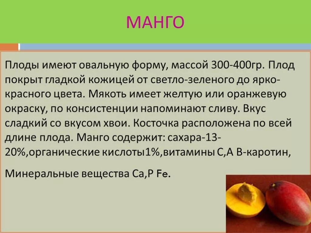 Плод манго. Манго доклад. Плод манго и вкус. Чем полезно манго для организма.