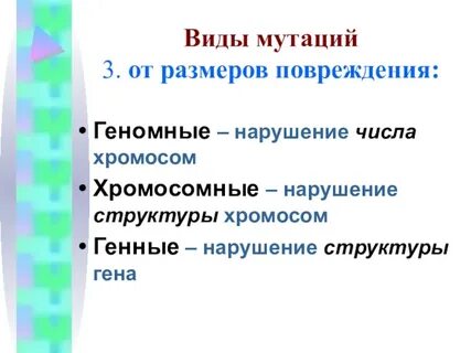 Тест виды мутаций