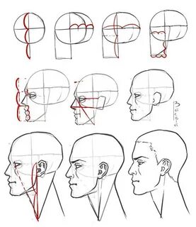 Как нарисовать голову в профиль