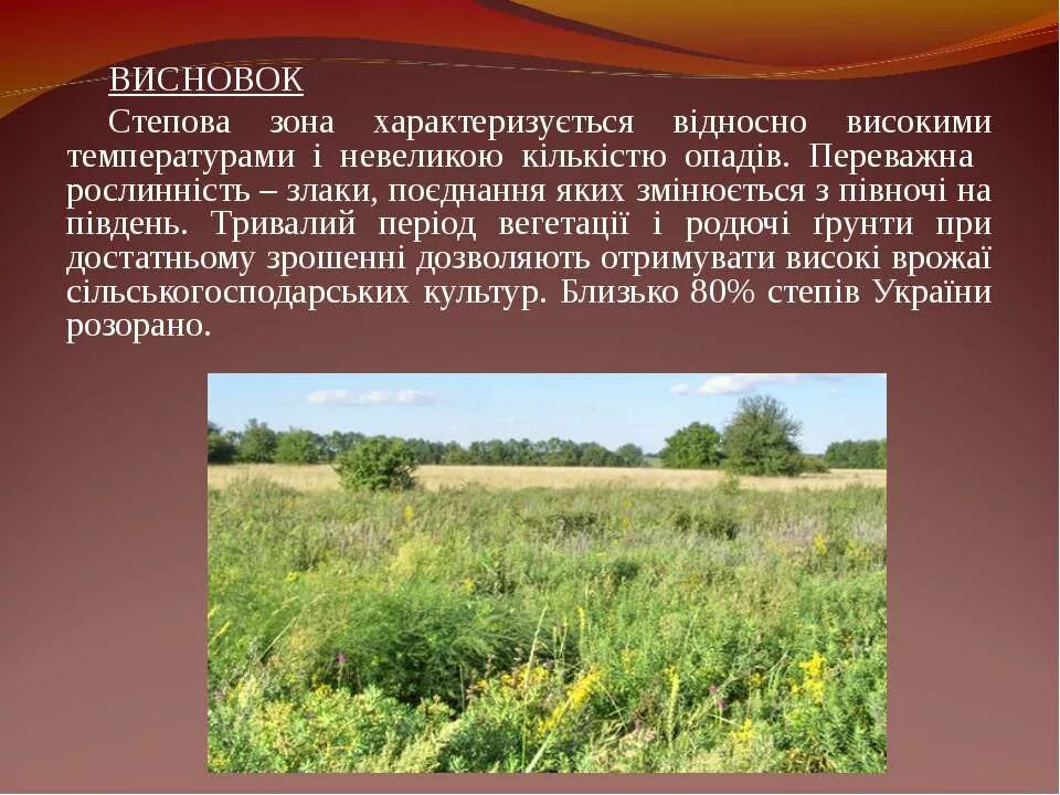 Виды степных ландшафтов. Степная зона презентация. Караларская степь. В зоне степей преобладают ландшафты. Степь природная зона.