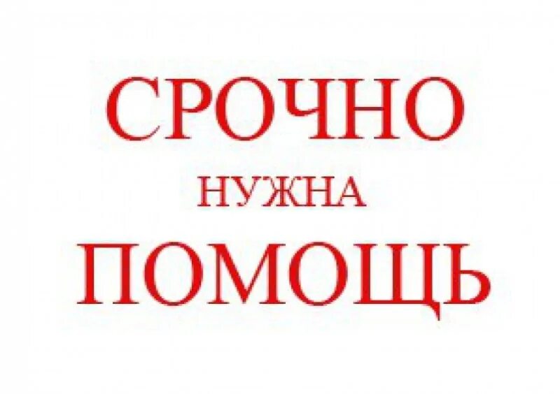 Срочно нужна помощь. Срочно картинка. Срочно помощь. Срочно помогите. Срочно подобно