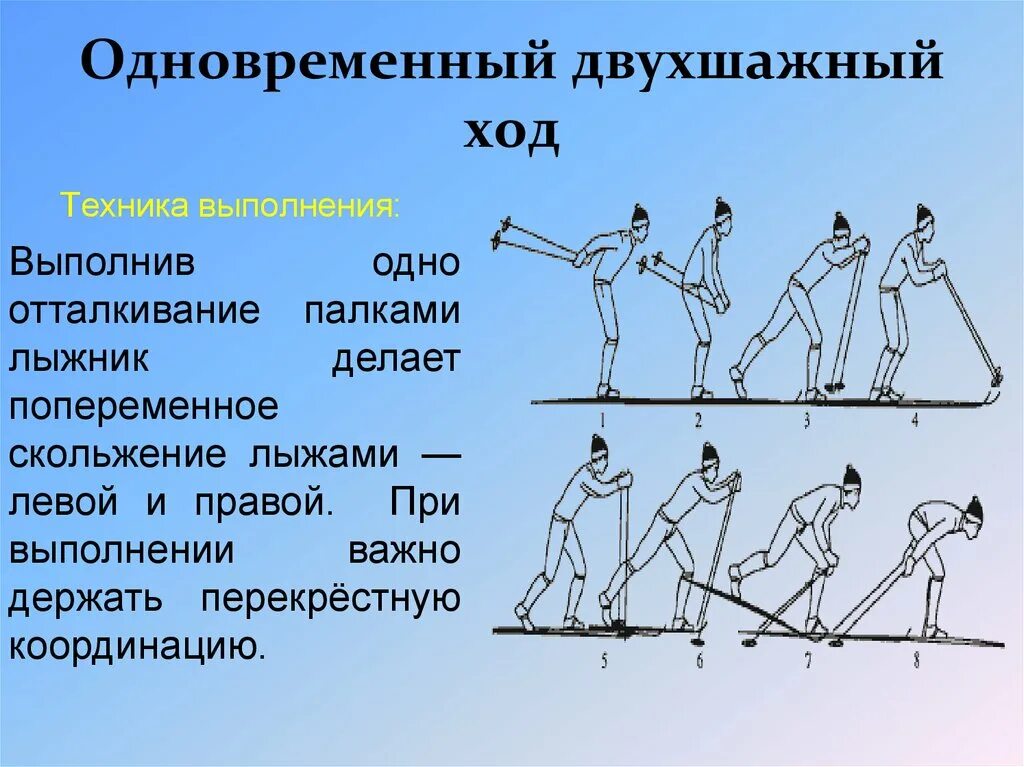 Как называется лыжный ход на картинке. Попеременный двухшажход на лыжах. Лыжные ходы одношажный и двухшажный. Техники лыжного хода попеременный двухшажный. Одновременный бесшажный ход и попеременный двухшажный ход.