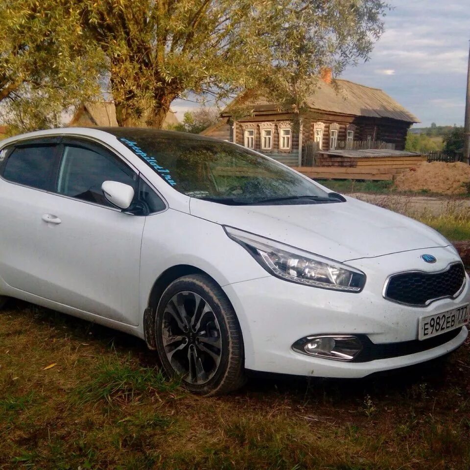 Кия сид 2017. Kia Ceed 2014. Kia Ceed JD 2014. Киа СИД 2017 белый. Киа СИД 2014 белый.