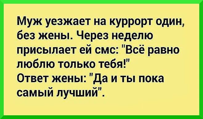 Муж уехал в деревню. Муж уехал. Опишите Вашу жизнь материться можно нет. Муж уезжает на курорт один без жены. Анекдот а материться можно?.