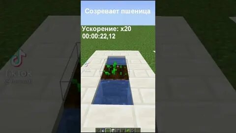 Как увеличить рост растений в майнкрафт командой