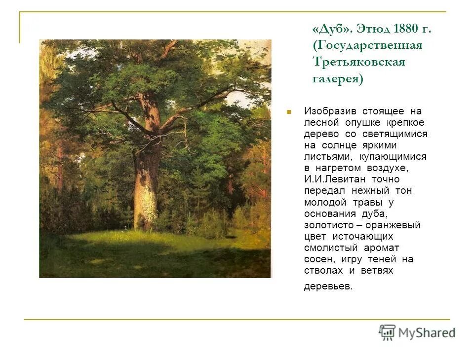 На опушке леса стоит дуб. Левитан дуб 1880. картина левитана дуб. левитан сосны 1880. левитан дуб третьяковская галерея.