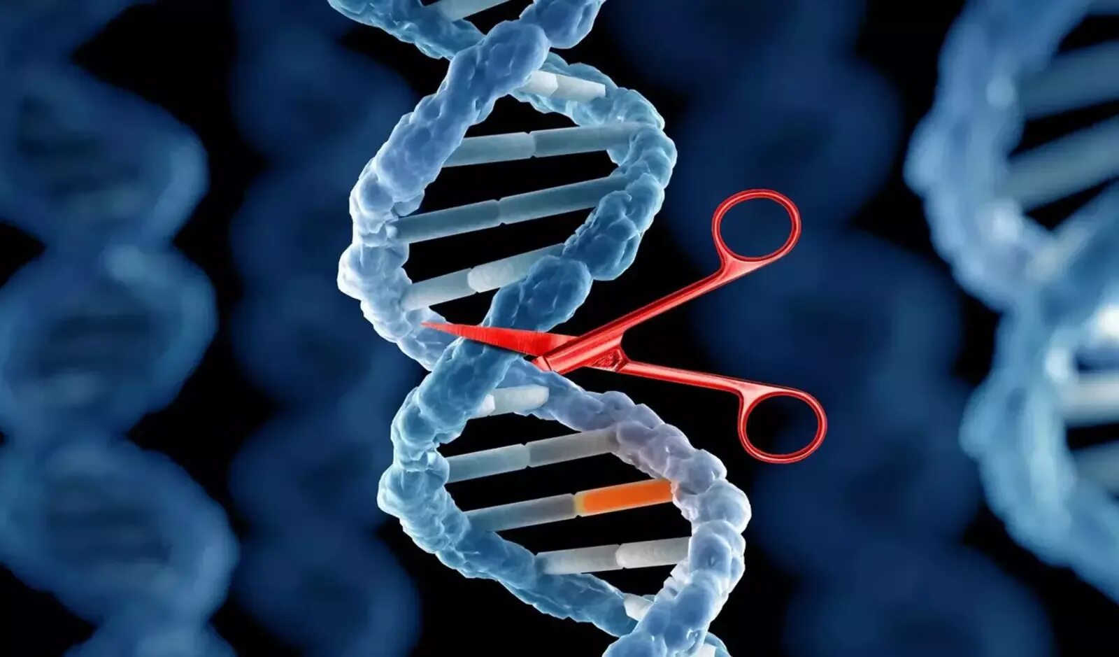 Ферменты расщепляющие днк. Технология редактирования генов CRISPR/cas9. CRISPR/cas9 редактирование генов. Редактирование генома с CRISPR/cas9. Генетика CRISPR.