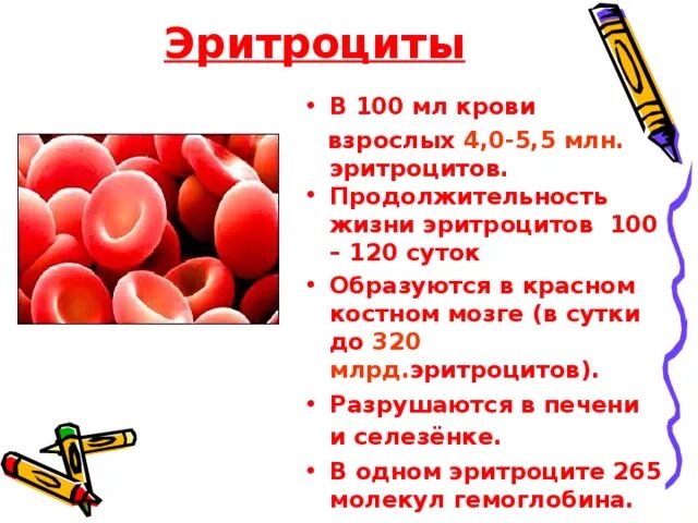 Какого значение крови для организма. Состав плазмы крови 8 класс биология. Кровь человека биология 8. Строение крови 8 класс биология. Кровь биология 8 класс.
