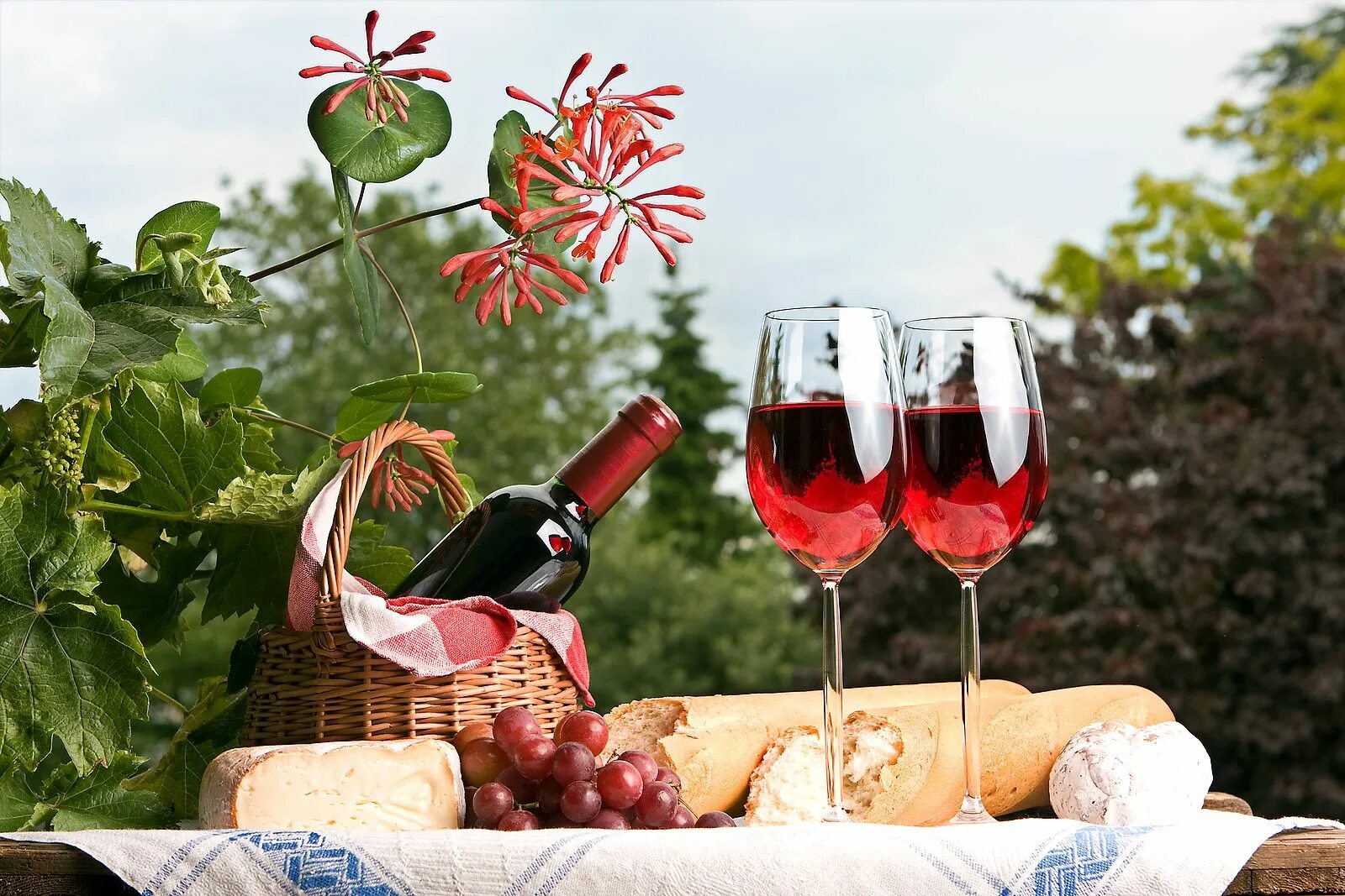 Розовое вино виноград. Вино на природе. Пикник с вином. Летнее вино. Пикник летний с вином.