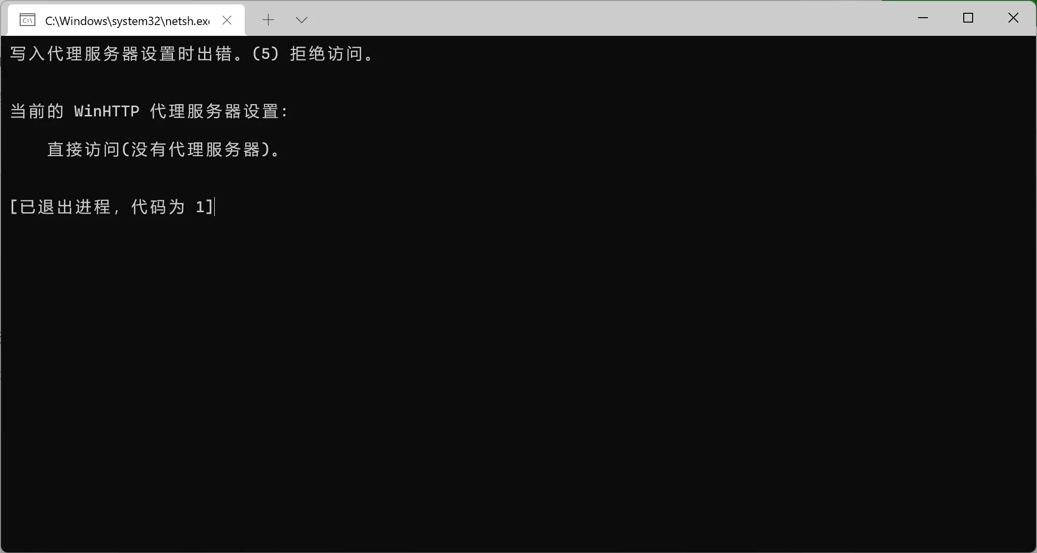 Processing exe