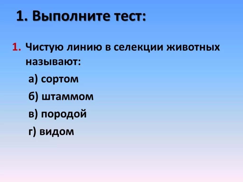 Чистые линии и форма