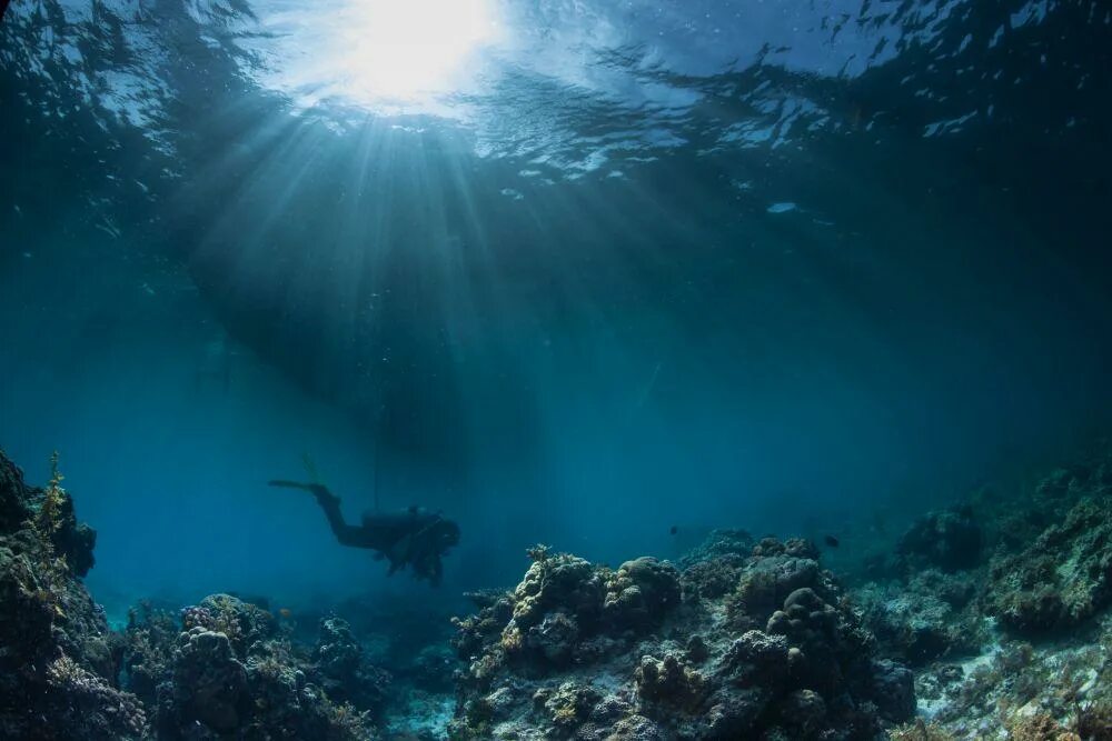 Дно океана. Морское дно. Дно моря. Океаны. Глубина. Провела на дне океана