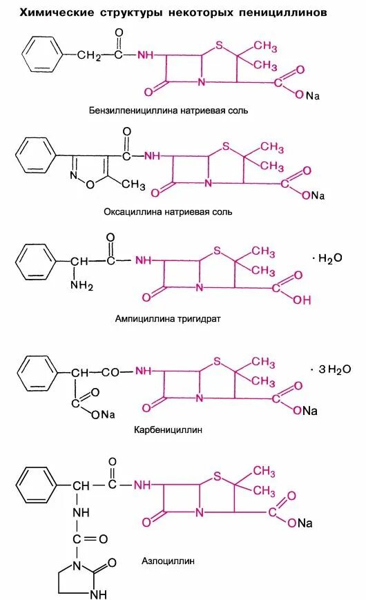 Синтез пенициллина. Пенициллин структурная формула. Пенициллин химическая структура. Пенициллин общая химическая структура. Пенициллин химическая формула структура.