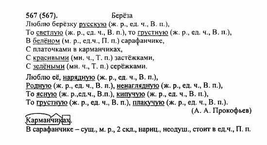 Упражнение 567 по русскому языку 5 класс. 567 русский язык 6 класс. 567 русский язык 5 класс. Русский язык 5 класс страница 82 упражнение 567. Язык упражнение 567.