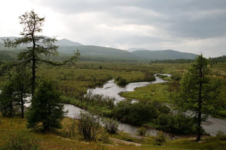 Исток реки лены. Река лена исток. Верховье реки реки лены. Верховье реки реки лены. Истоки реки лена.