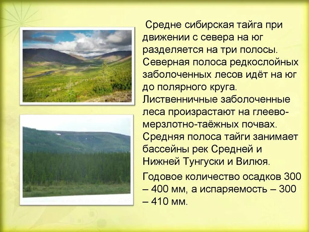 Тайга находится перед полярным кругом. Тайга презентация. климат сибирской тайги. сибирская тайга презентация. средняя тайга.