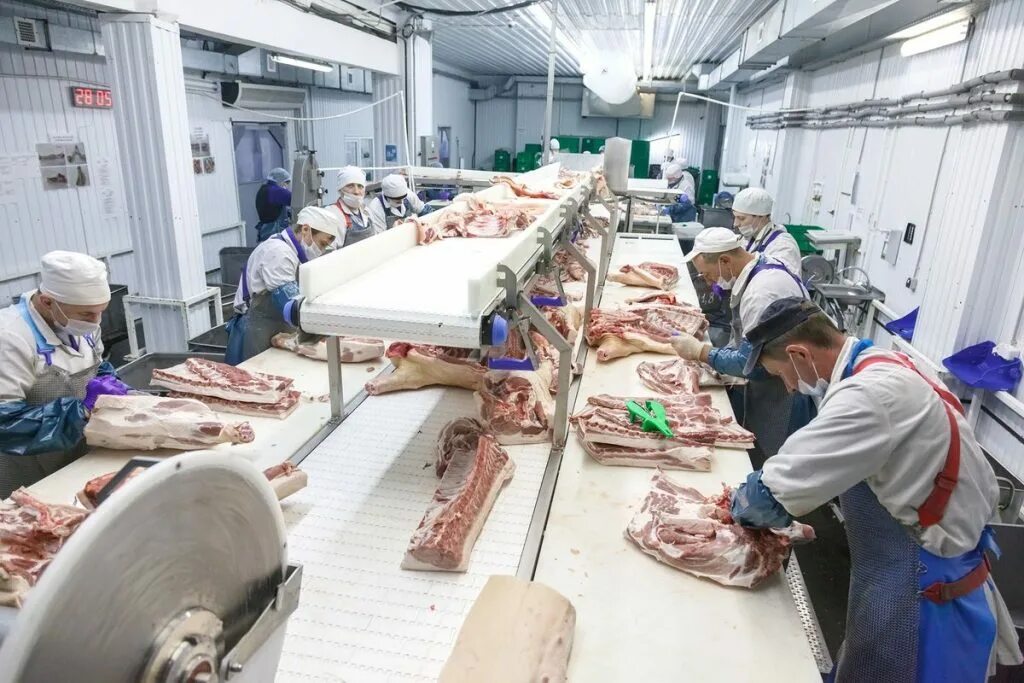 Мясоперерабатывающий комбинат. Ооо восточный сарапульский мясокомбинат. Мясокомбинат сарапул. Предприниматели сарапула. Мясокомбинат сарапул.