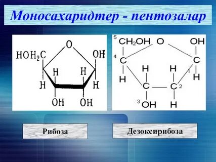 Рибоза фруктоза мальтоза
