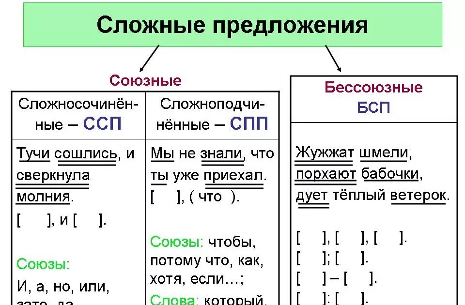 Варианты сложных предложений. Виды сложных предложений схема. Что такое сложное предложение в русском языке примеры. Типы сложных предложений с примерами. Типы союзов в сложном предложении.