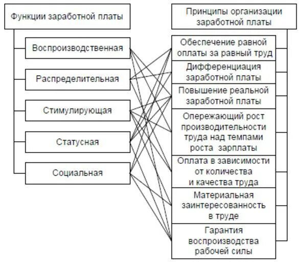 Функции оплаты труда схема. Основные функции заработной платы схема. Принципы оплаты труда на предприятии схема. Принципы и функции организации заработной платы. Заработная плата и ее организация