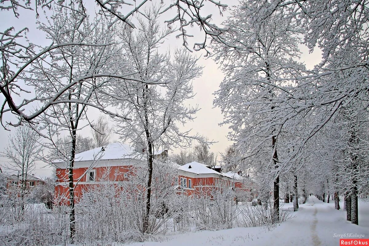 федоровская церковь калуга. утро первых ника тв калуга. утро первых калуга. калуга улица кирова 21 церковь жён-мироносиц. зимняя калуга панорама.