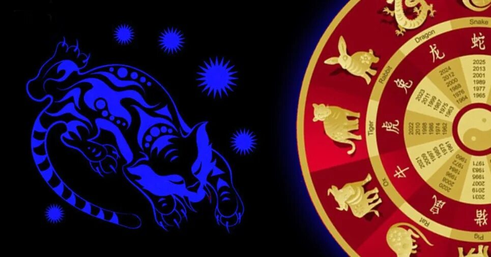 Знак китайского зодиака тигр. Год тигра 2022. Китайская астрология. Животные китайского календаря.
