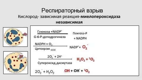 Реакция взрыва