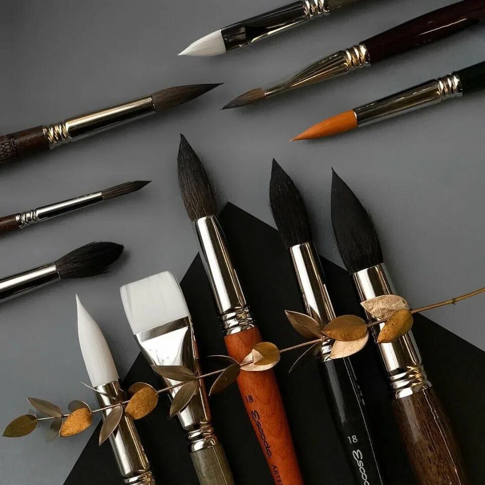 Название кистей для рисования. Кисточка для рисования. Профессиональные кисти для рисования. Кисти для рисования. Формы кистей для рисования.