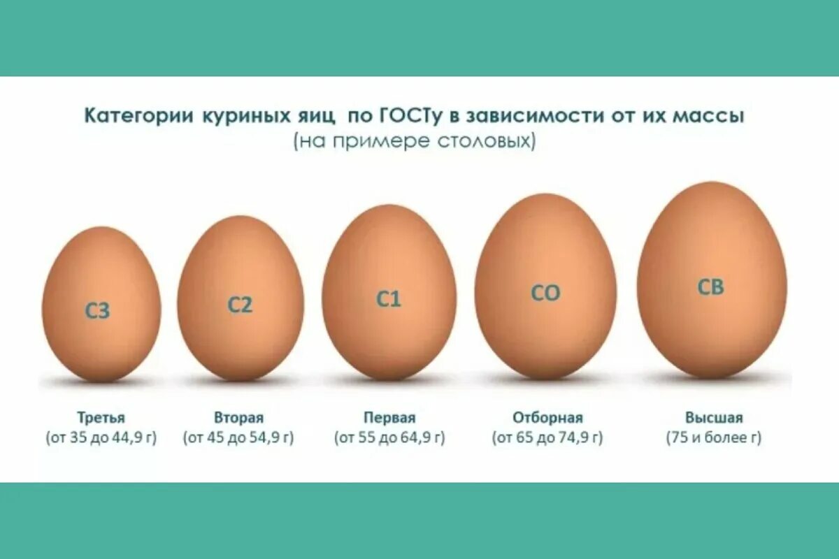 Категория яиц с0 с1 с2. Яйца 3 категории. Яйца категория с2 вес яйца. Размер куриного яйца.