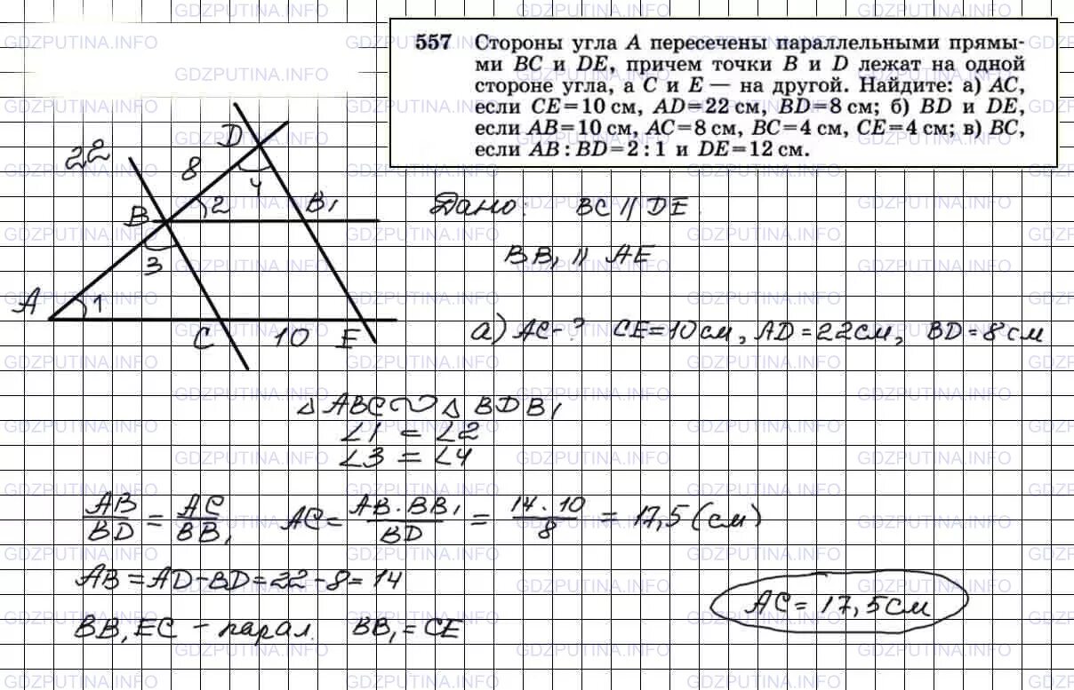 Сторона угла а пересечены параллельными прямыми