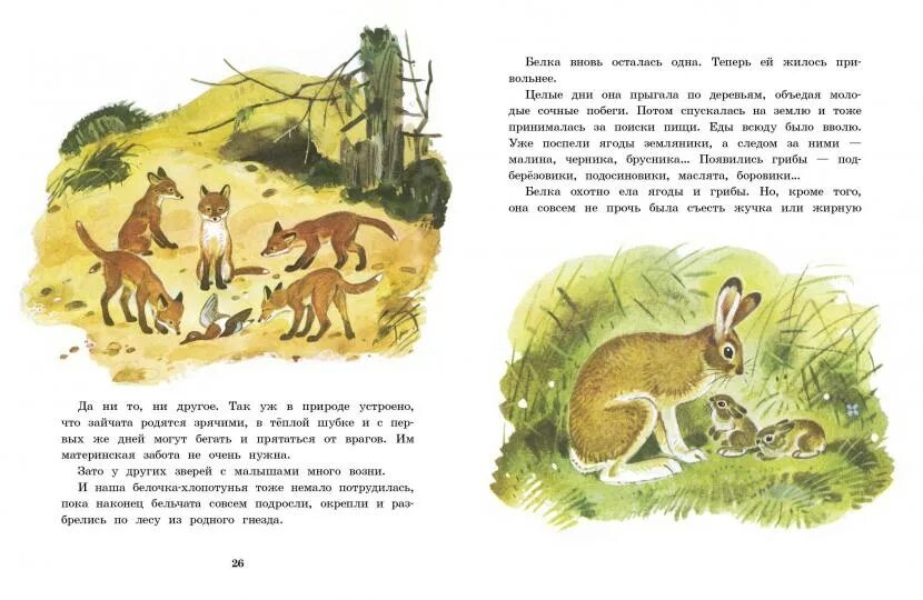 Смышленый зверек г скребицкий. Скребицкий белочка хлопотунья. скребицкий книги. книги скребицкого для детей. скребицкий белка.