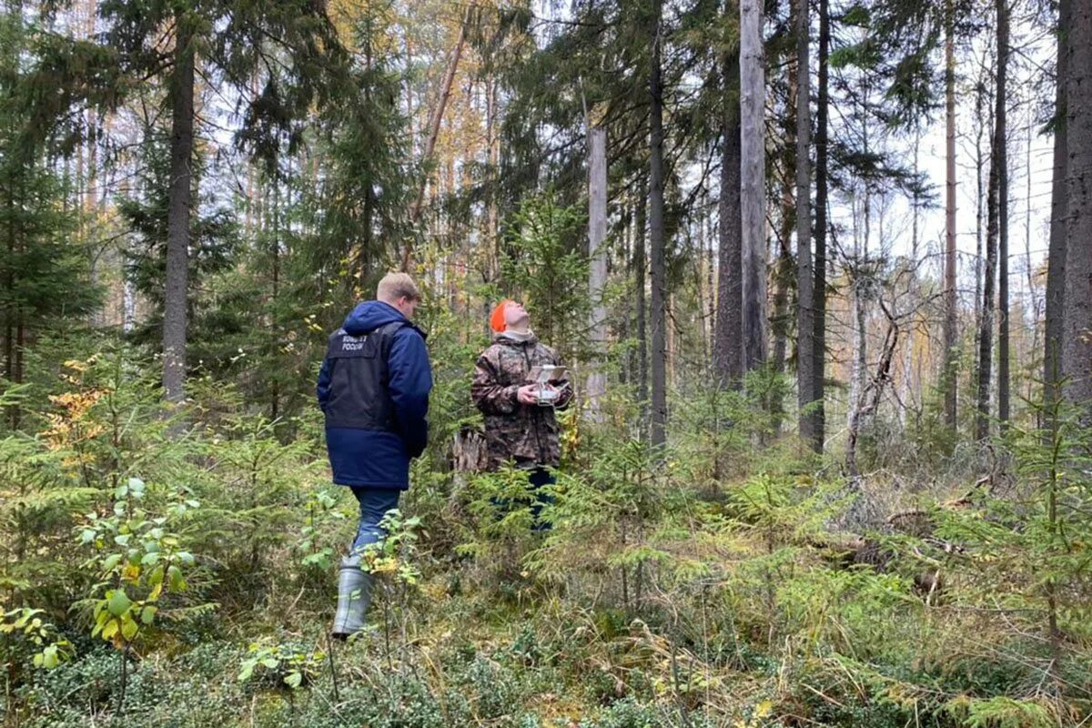 Вчера нашел в лесу