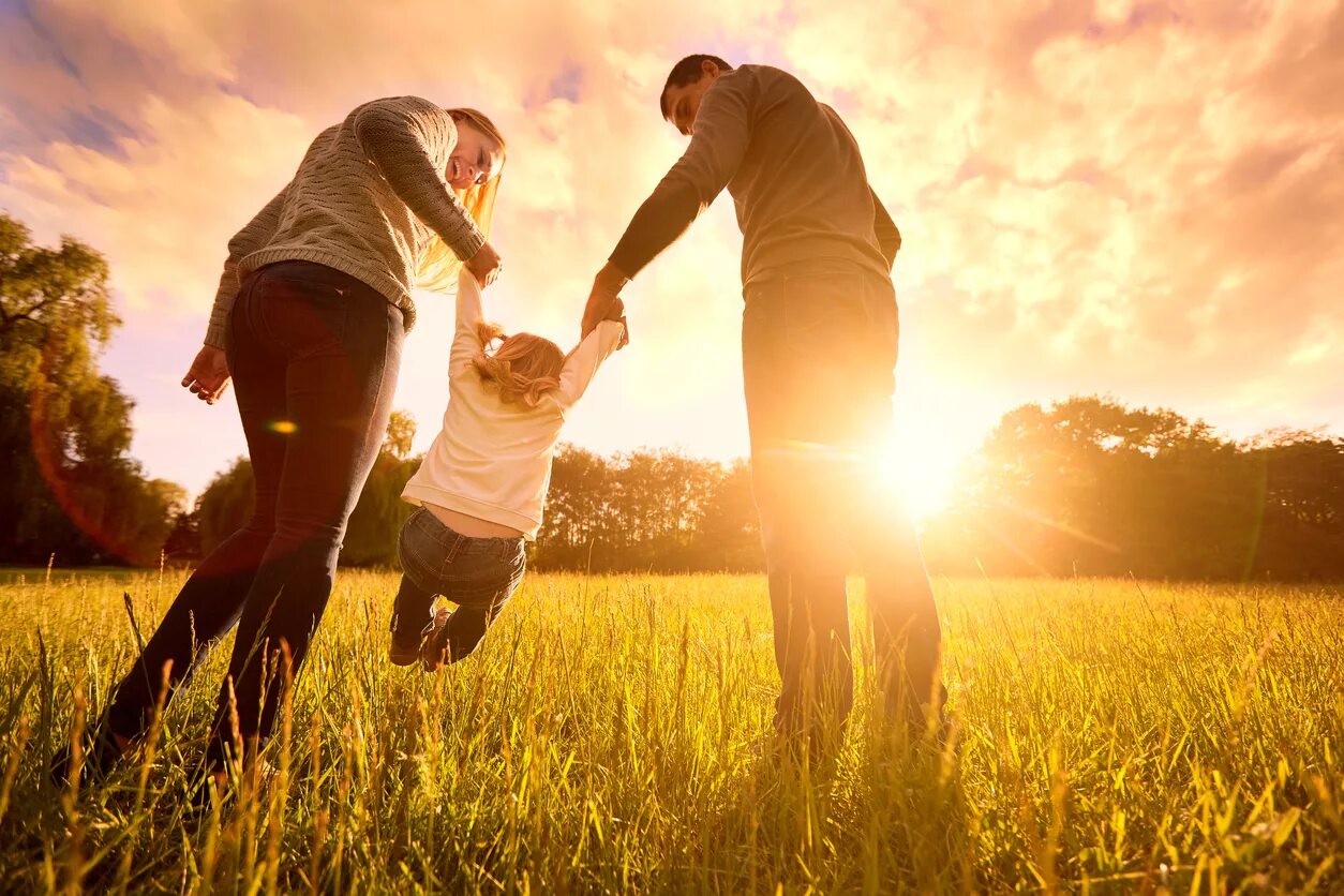 Sun family