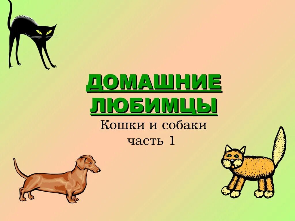 Проект про питомец