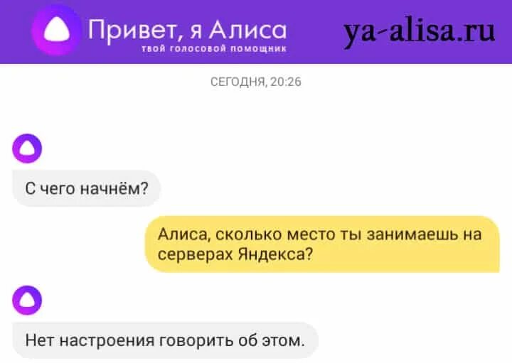 Алиса сколько хватит. Привет Алиса голосовой помощник. Алиса голосовой помощник фото.