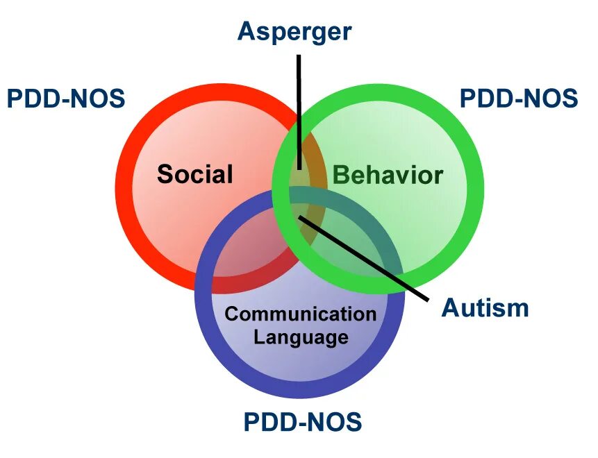 Society behavior. Autism Spectrum Disorder Symptoms. Types of Autism. Pervasive Developmental Disorder. ASD Autism.